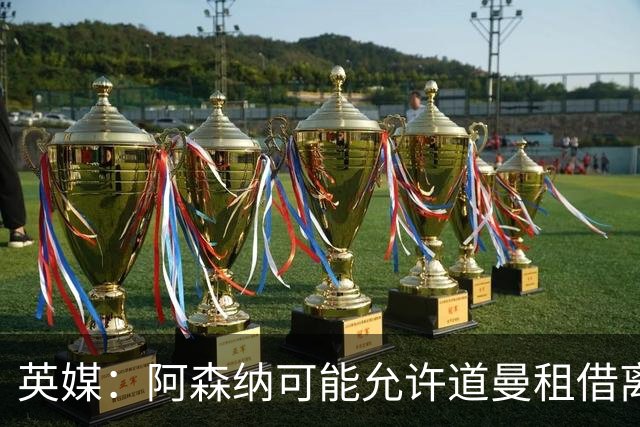 英媒：阿森纳可能允许道曼租借离队，但必须有利于球员发展